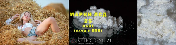 гидра Надым