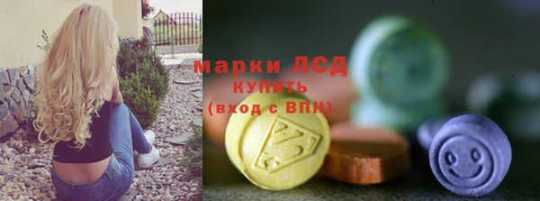 гидра Надым