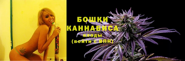 гидра Надым