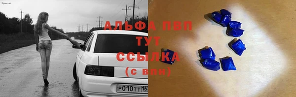 гидра Надым