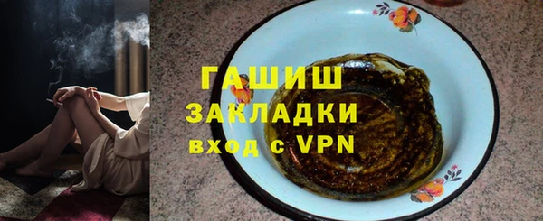 гидра Надым