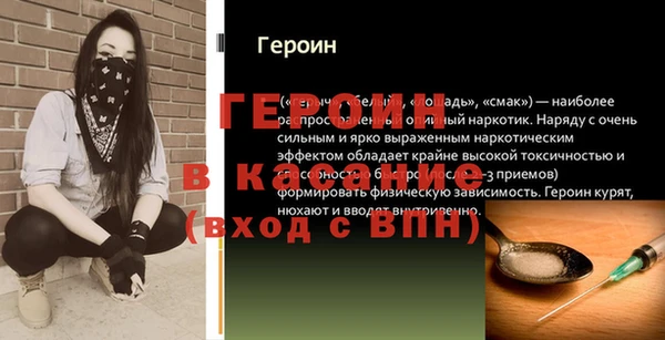 гидра Надым